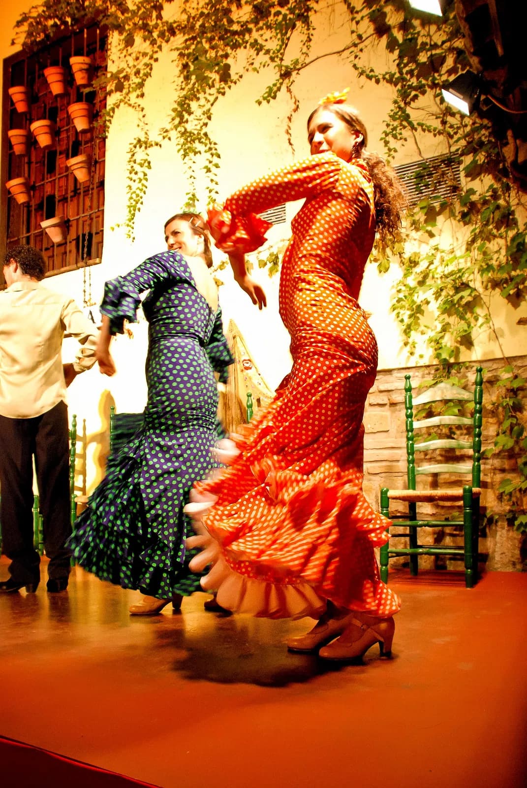 bailadora flamenca