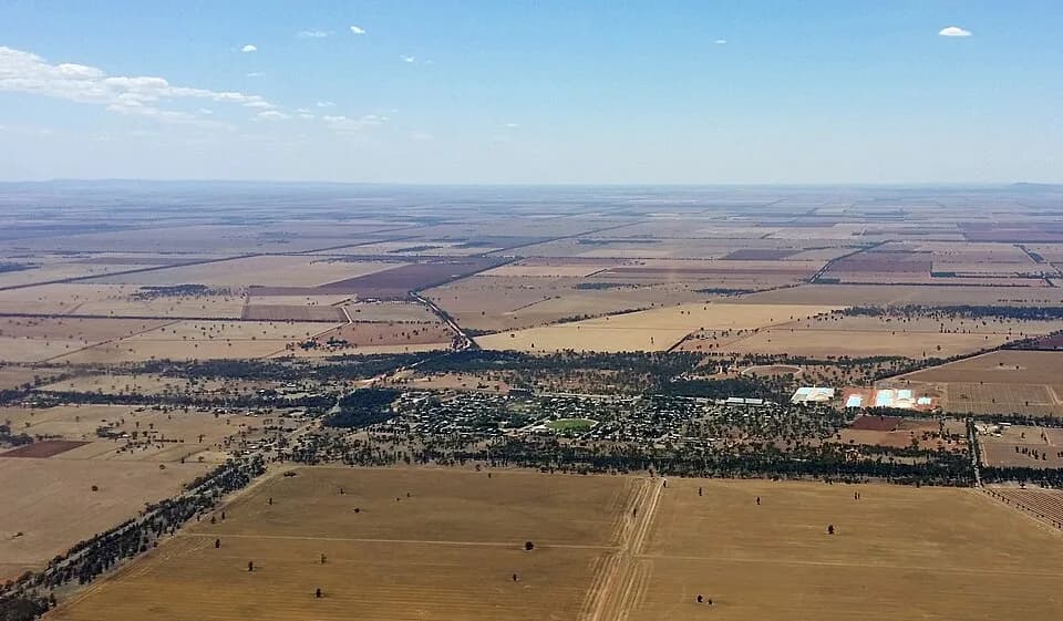 Barellan
