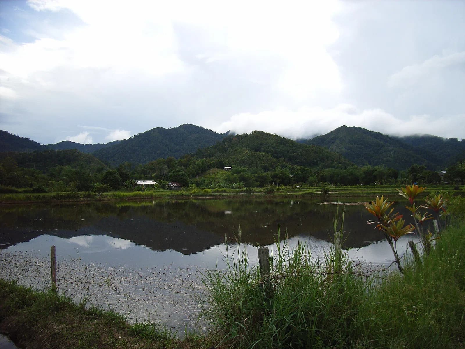 Bario