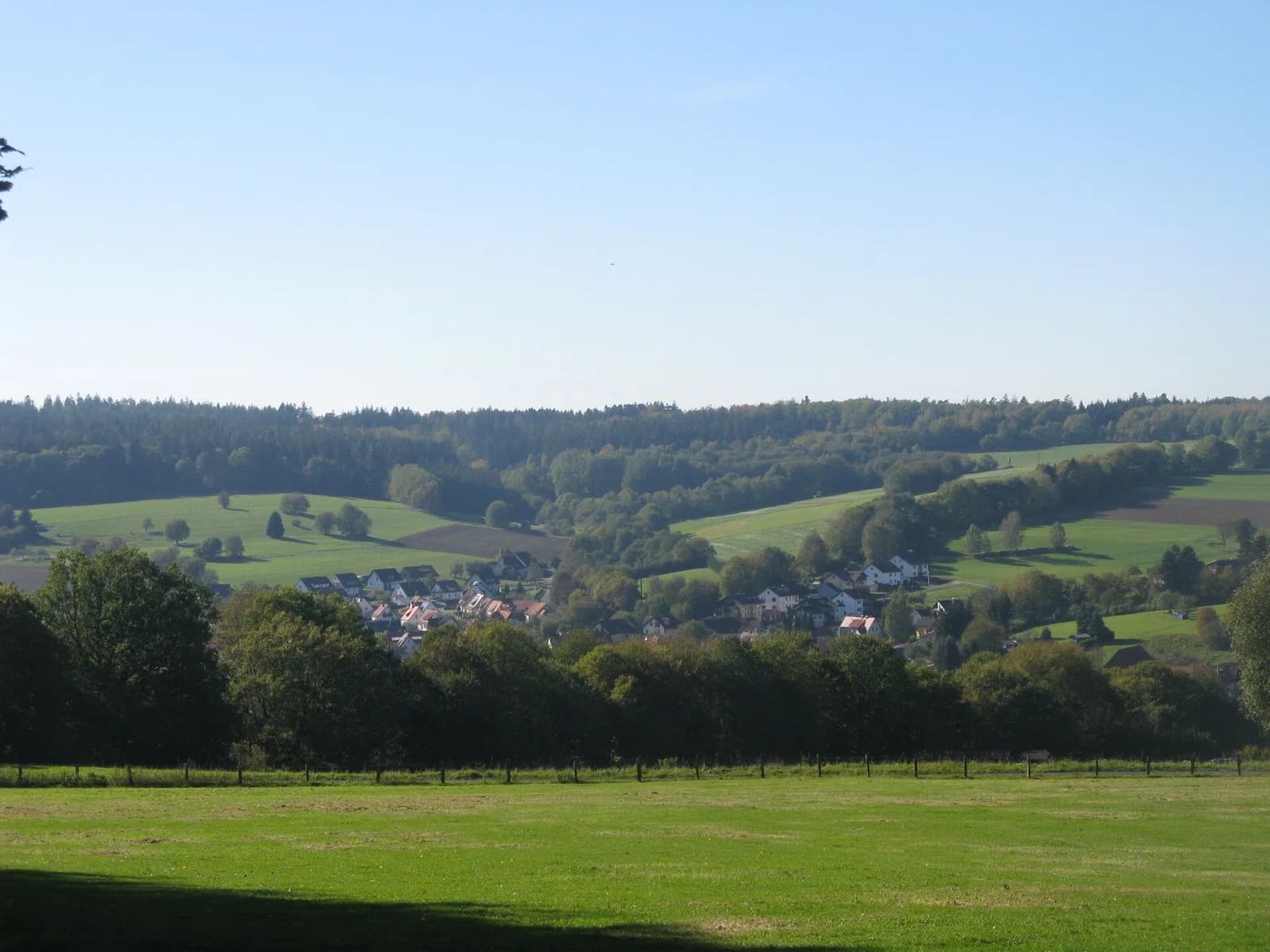Wiesen