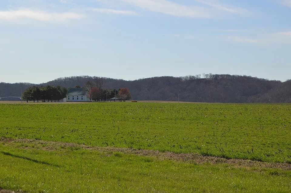 Posey Township