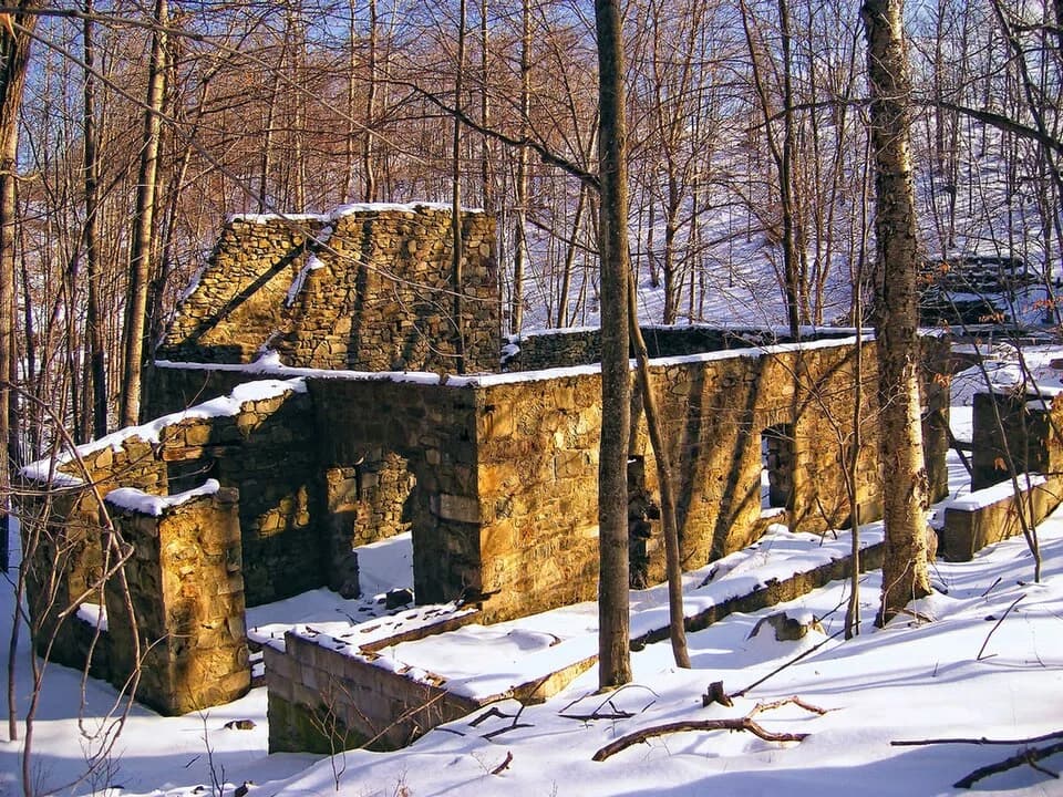 Paradise Township