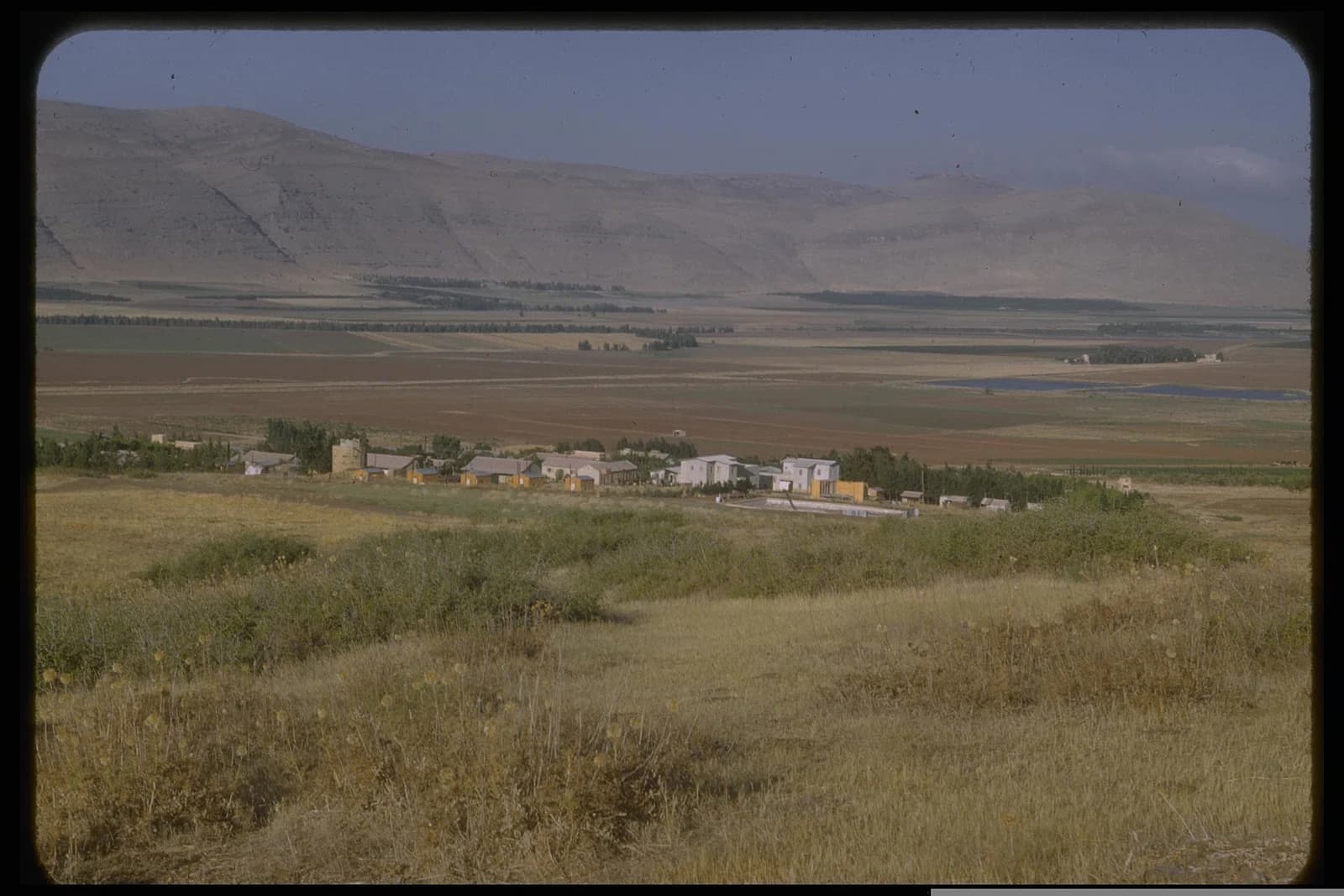 Beit HaShita