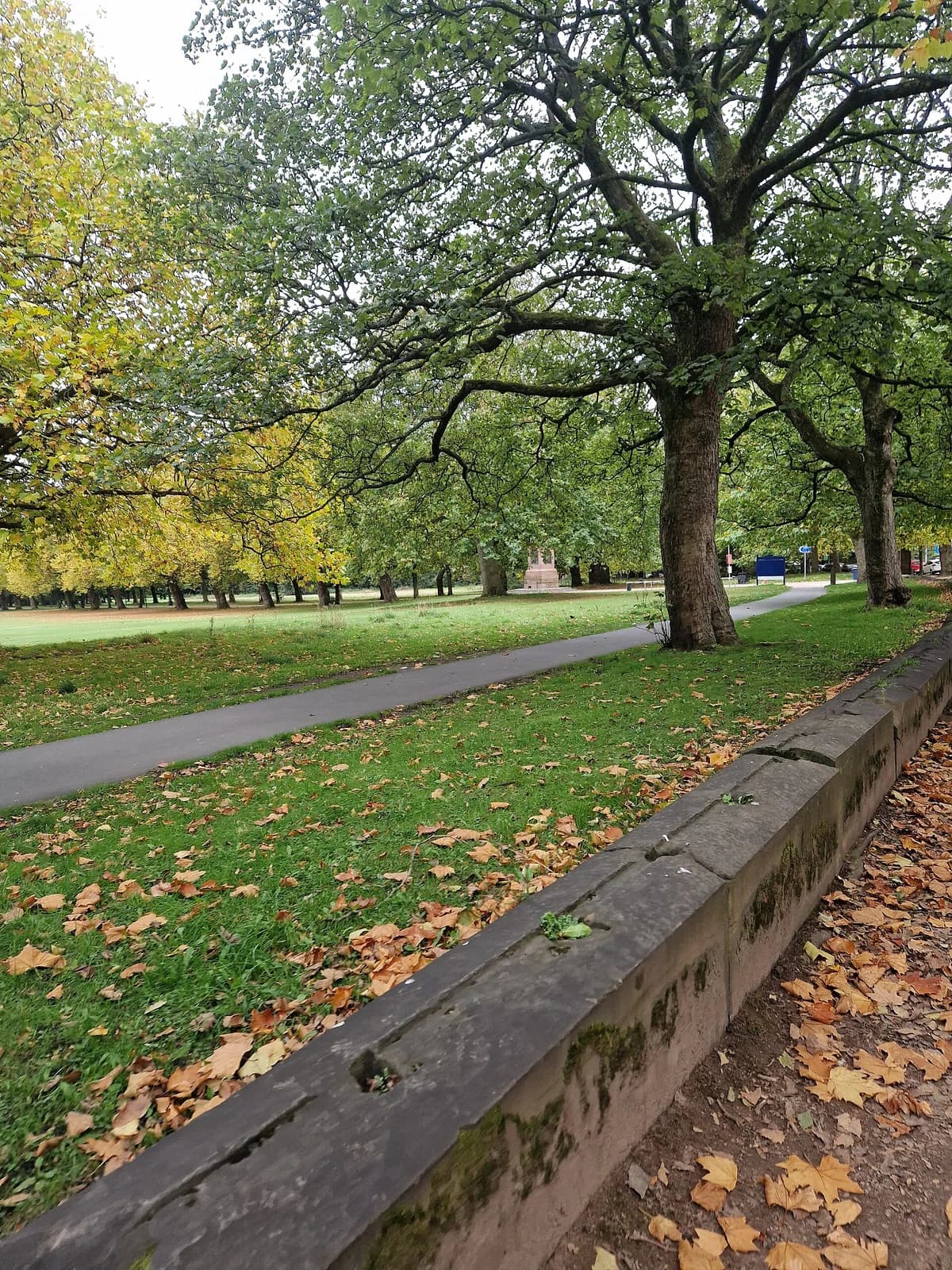 Toxteth Park