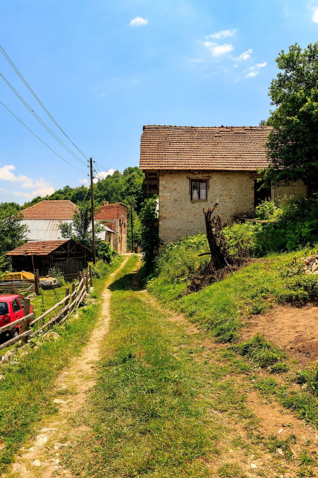 Beličica