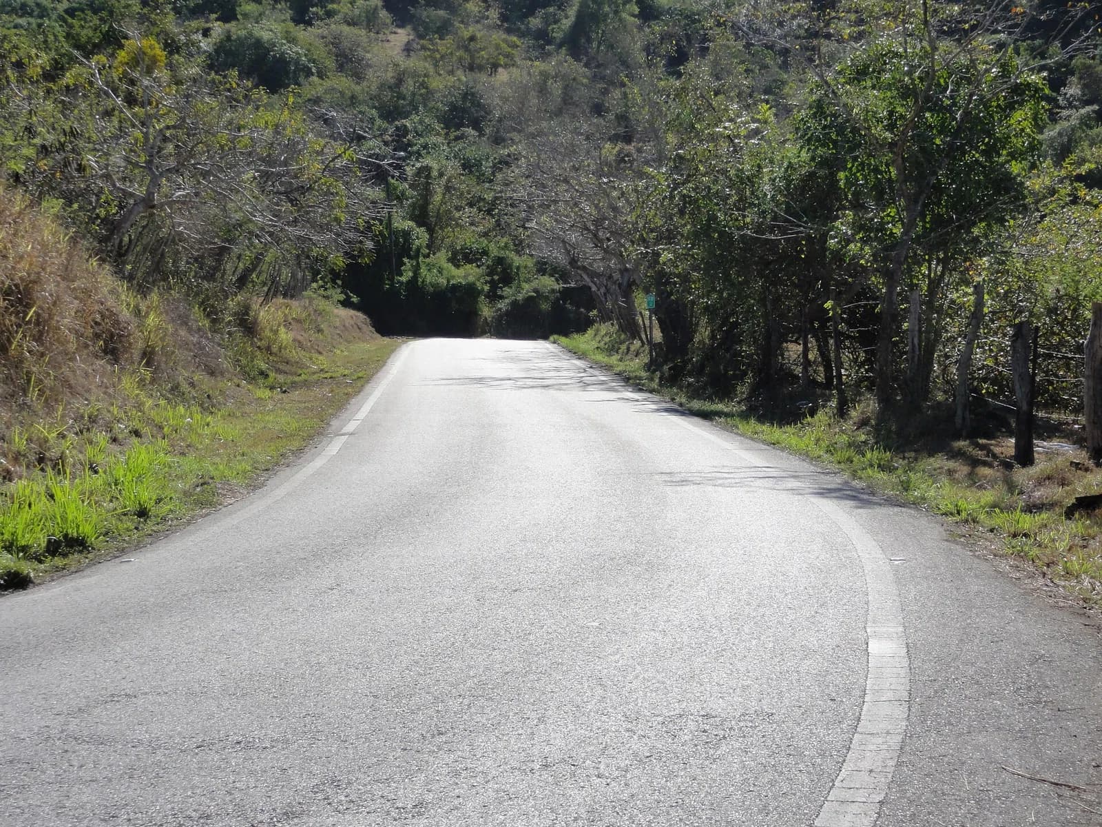 Quebrada Limón