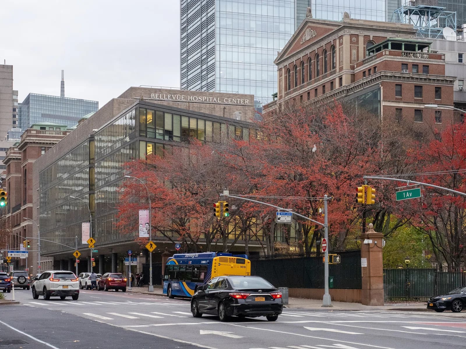 Bellevue Hospital Center