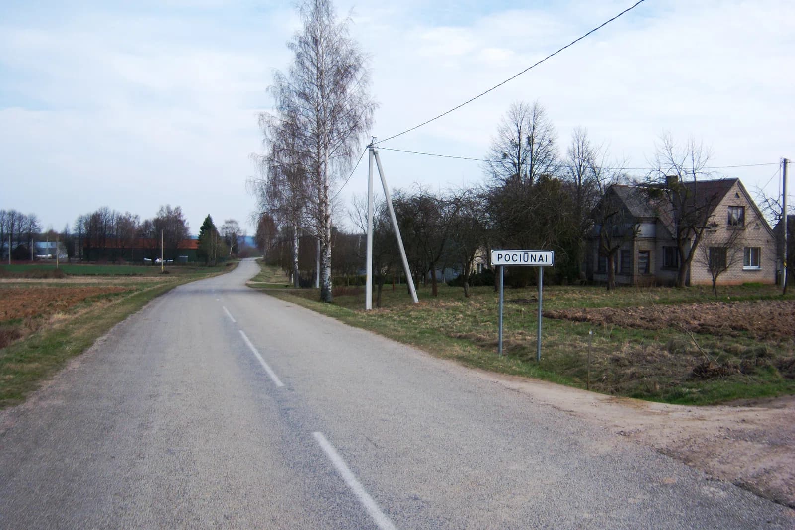 Pociūnai