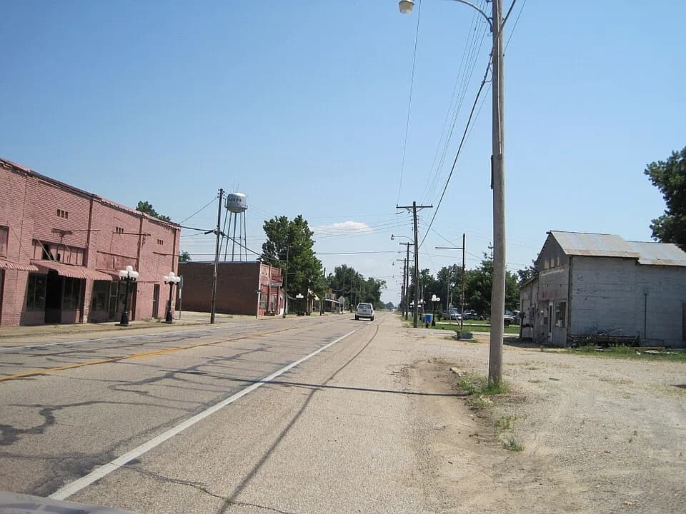 Black Oak