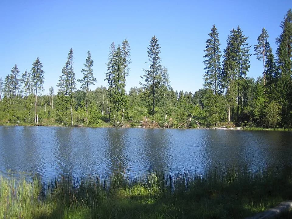 Misso Rural Municipality