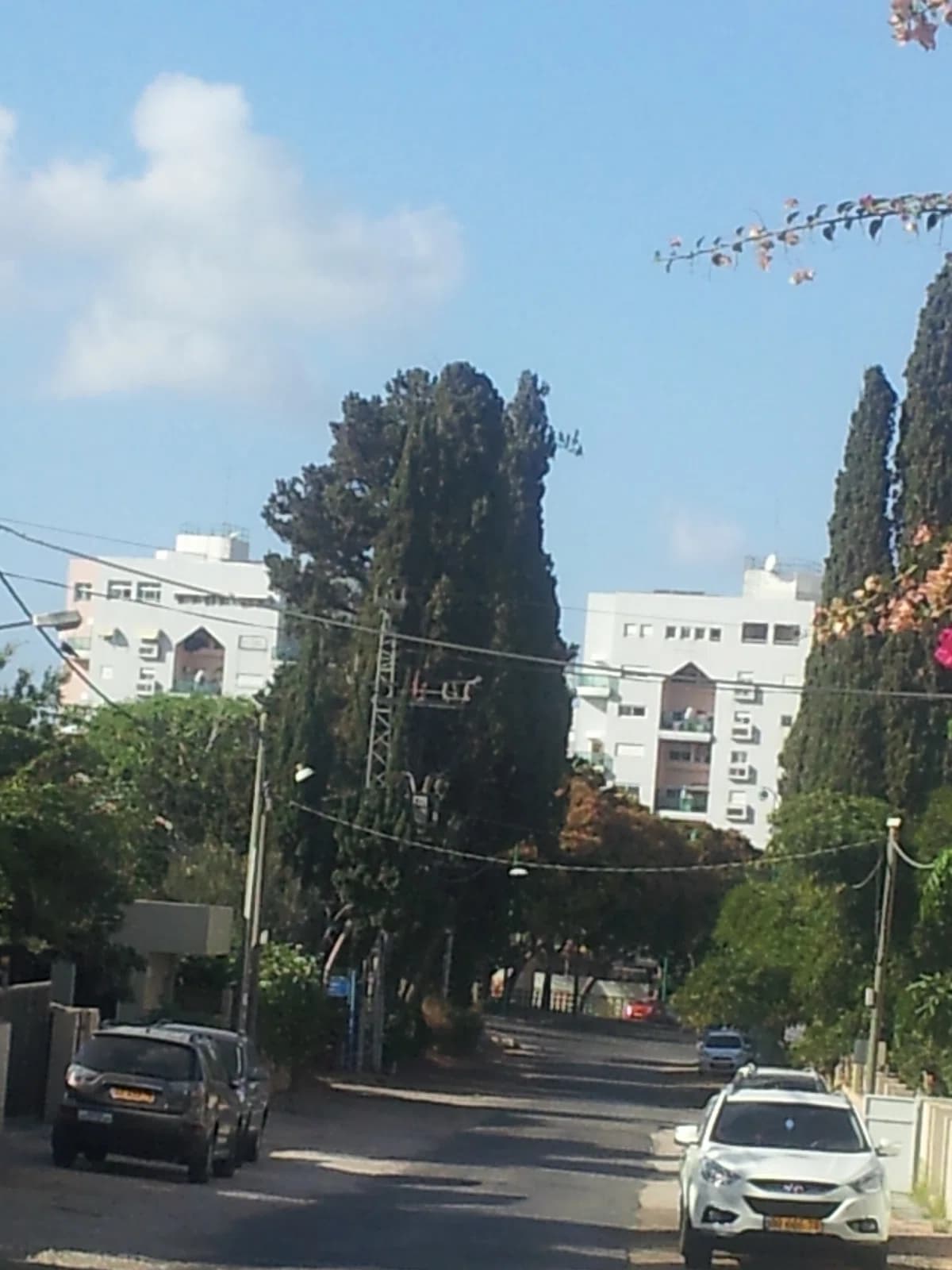 Kfar Brandeis