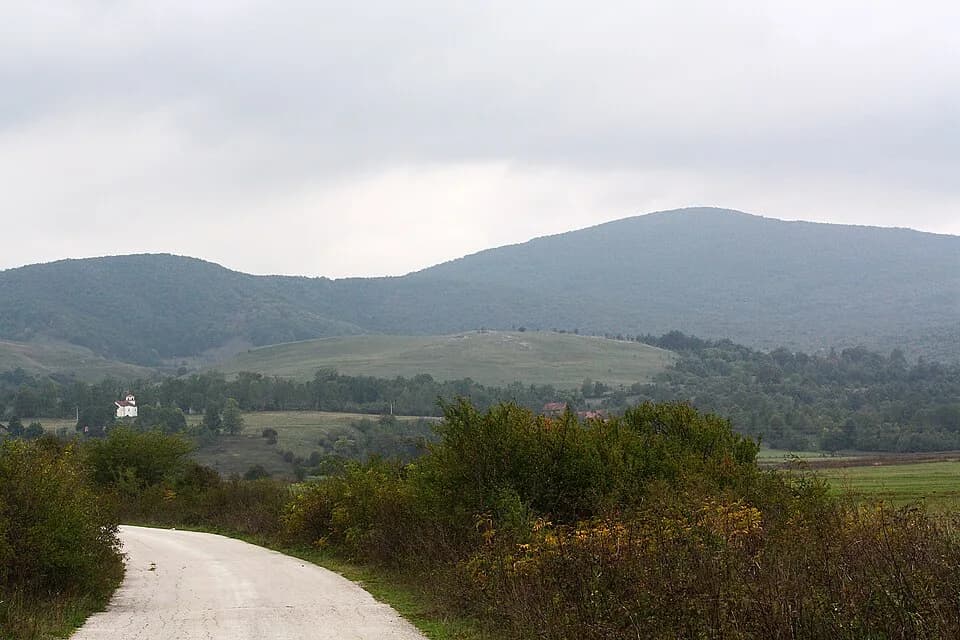 Bjelaj