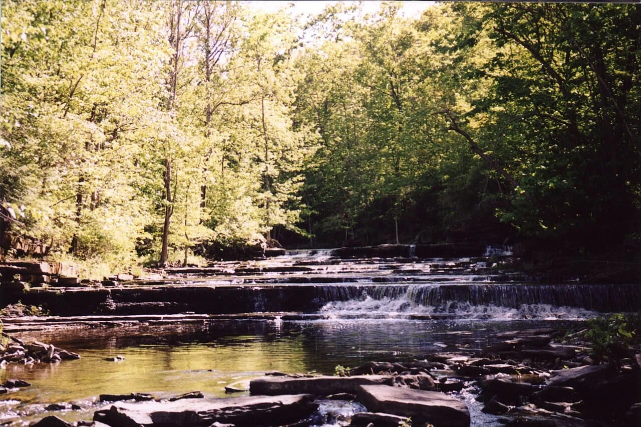Duanesburg