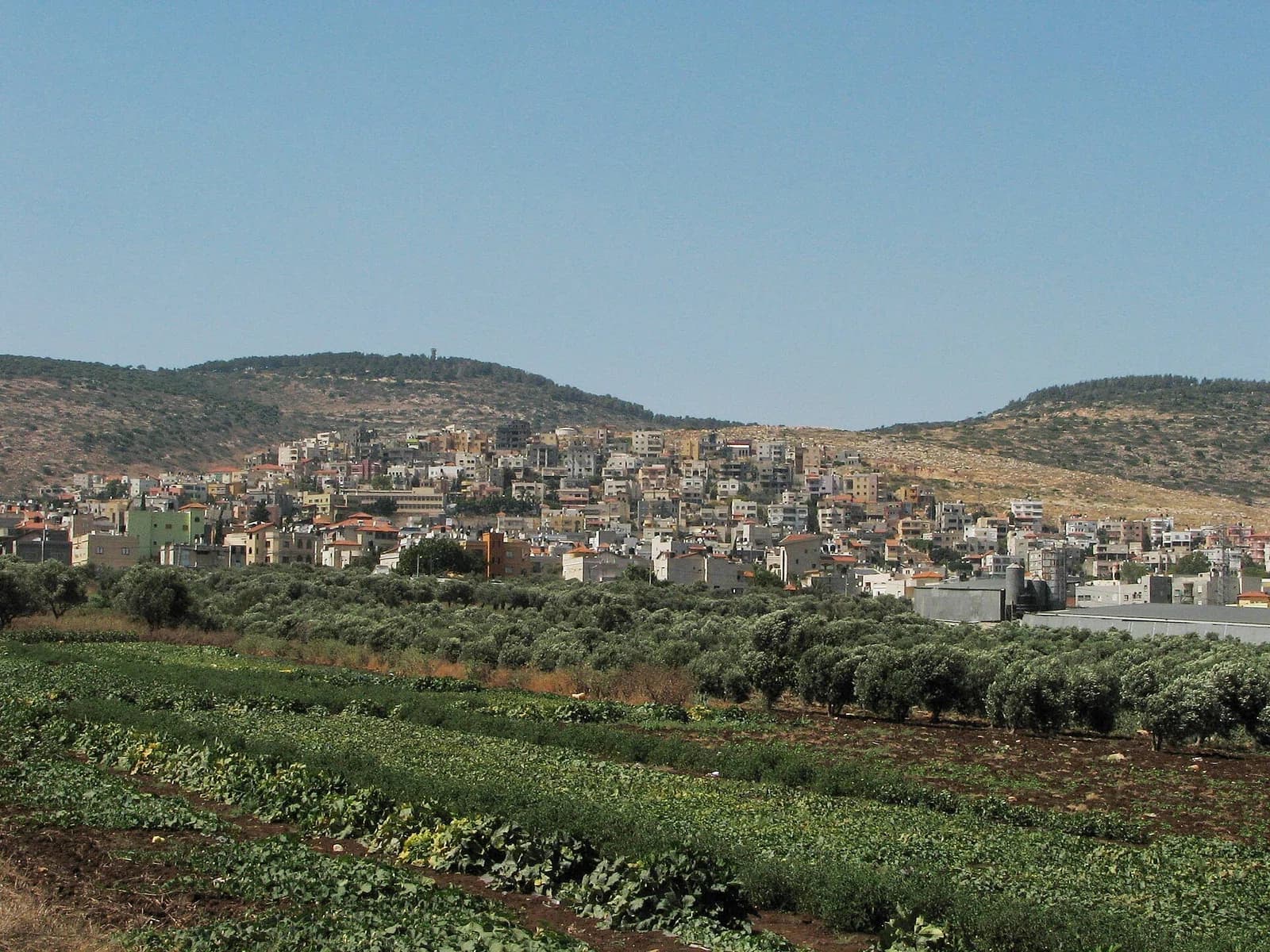 Tur'an