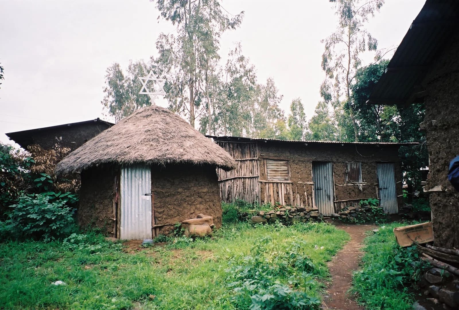 Wolleka