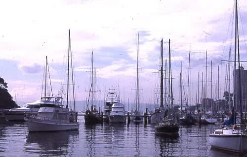 Rushcutters Bay