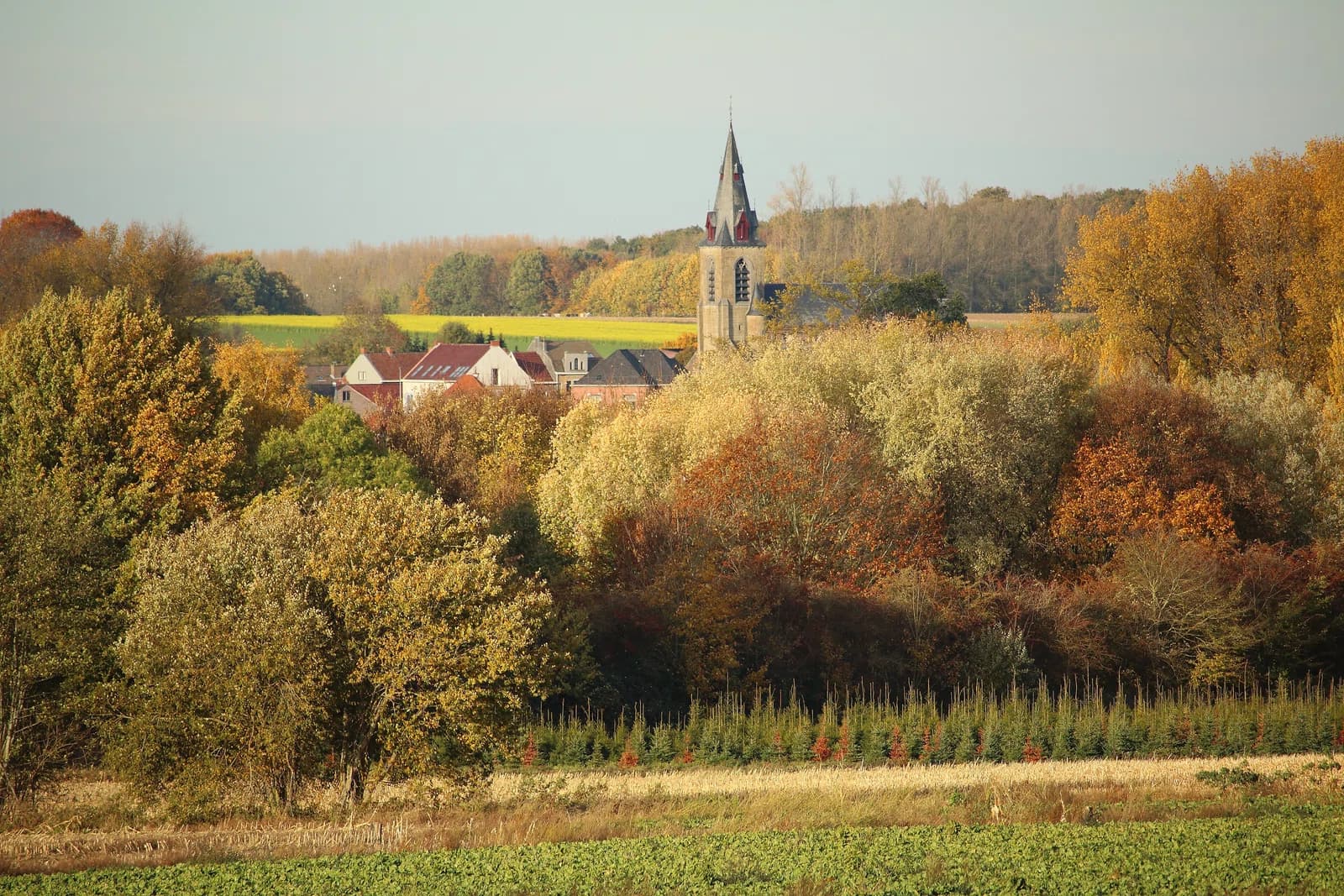 Hillegem