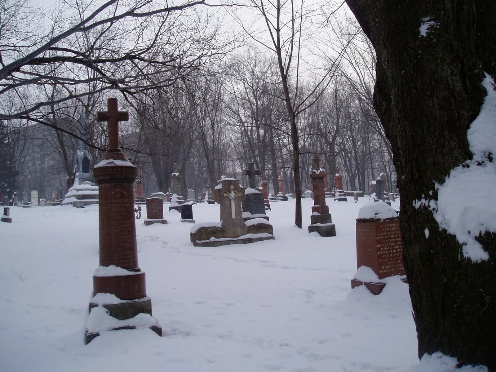 Notre Dame de Belmont Cemetery