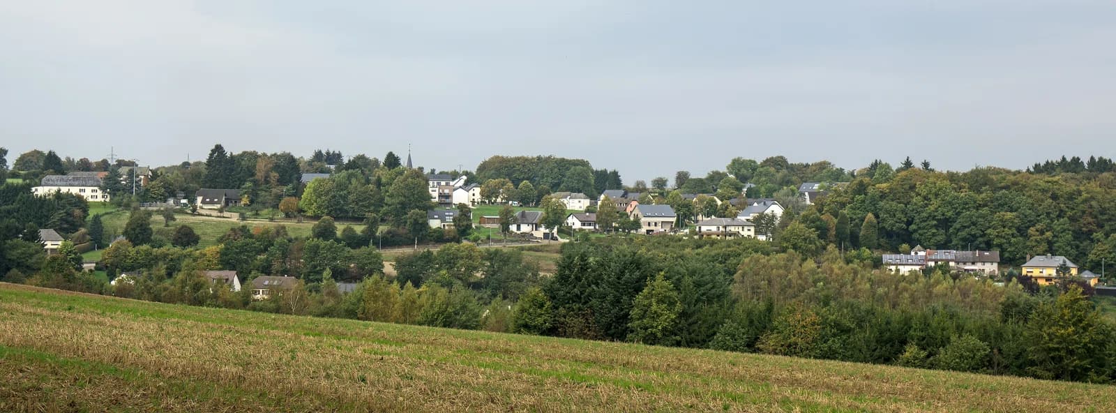 Eselborn