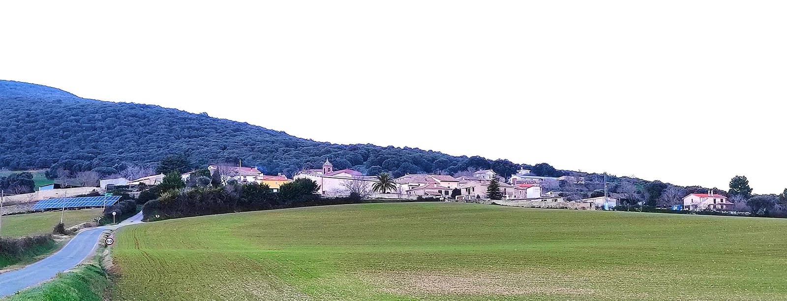 Asarta