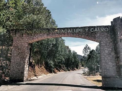 Guadalupe y Calvo Municipality