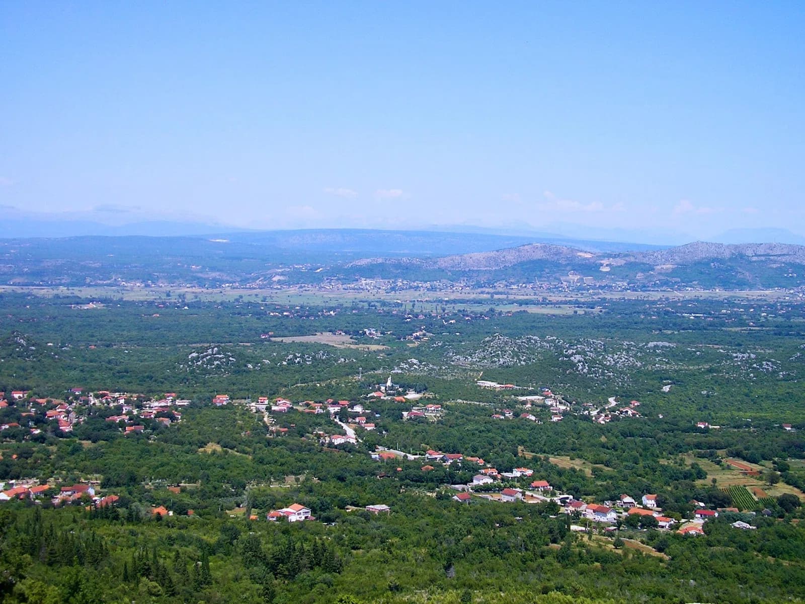 Crveni Grm
