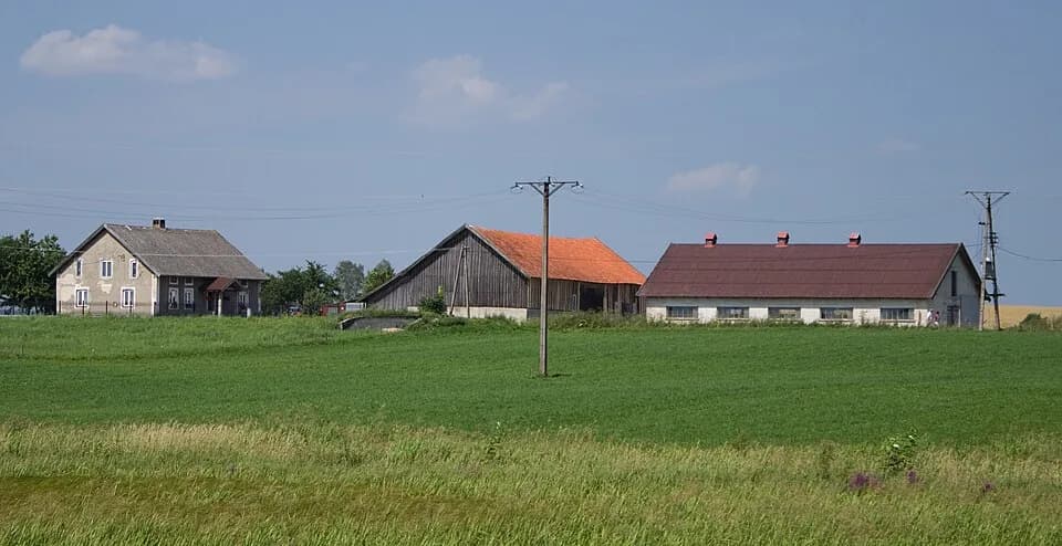 Czarny Kierz