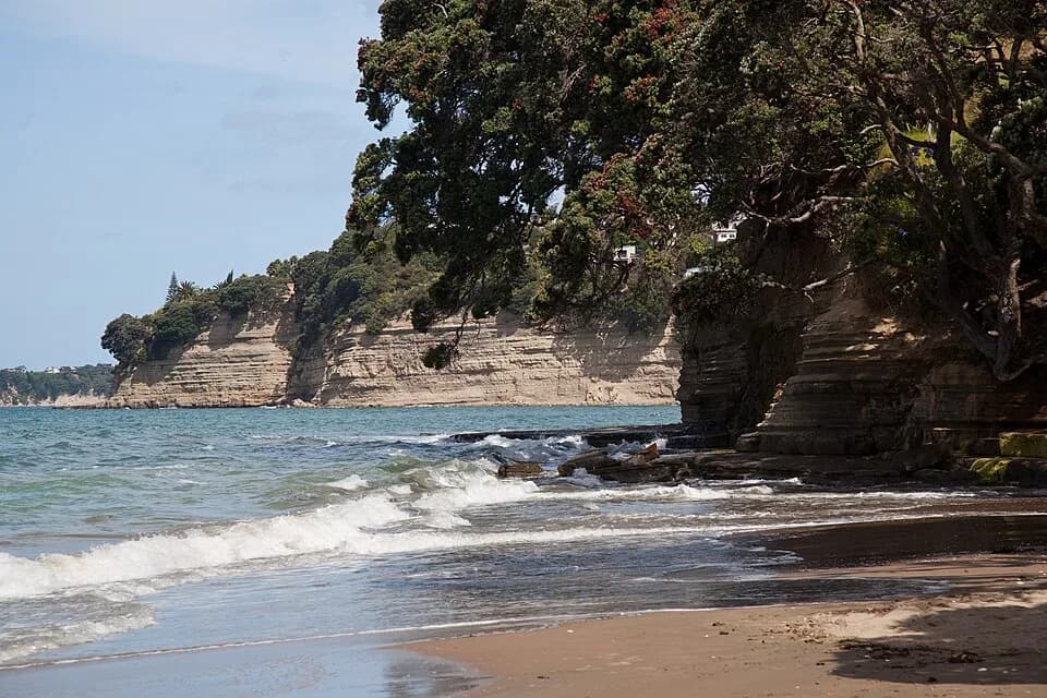 Hibiscus Coast