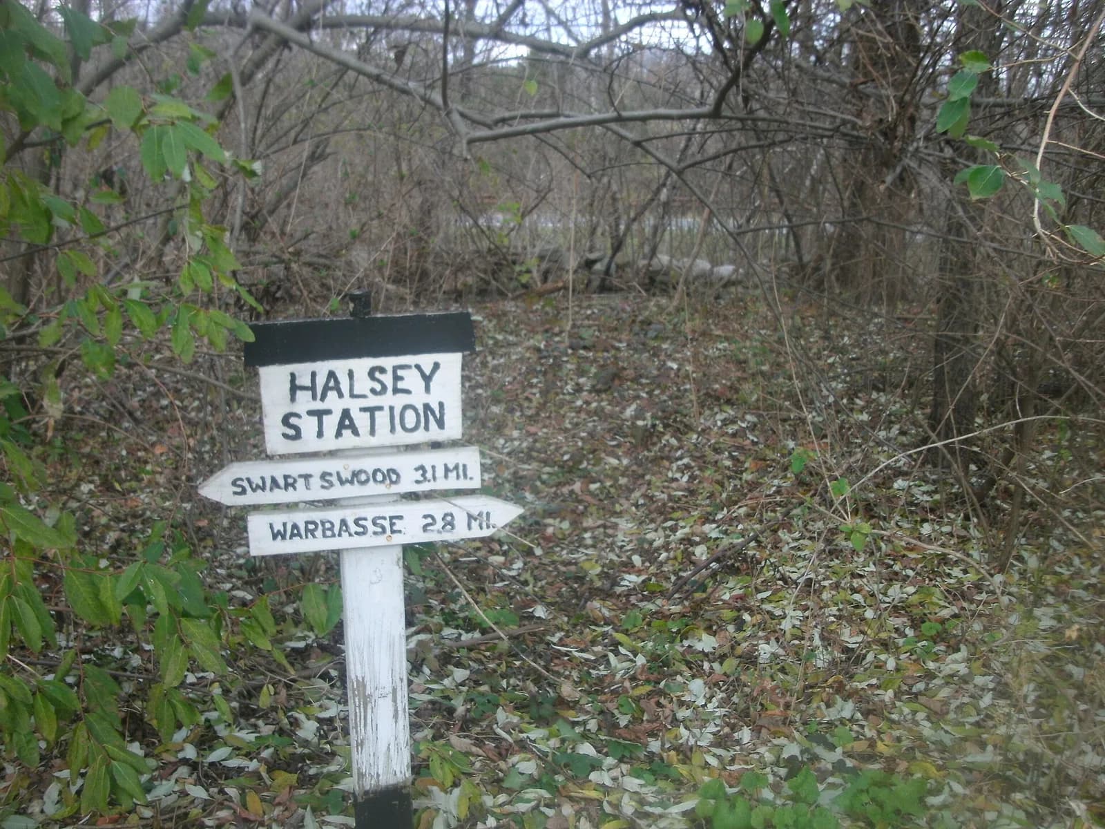 Hampton Township