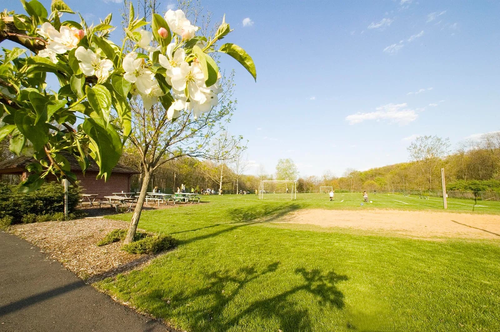 Hanover Township
