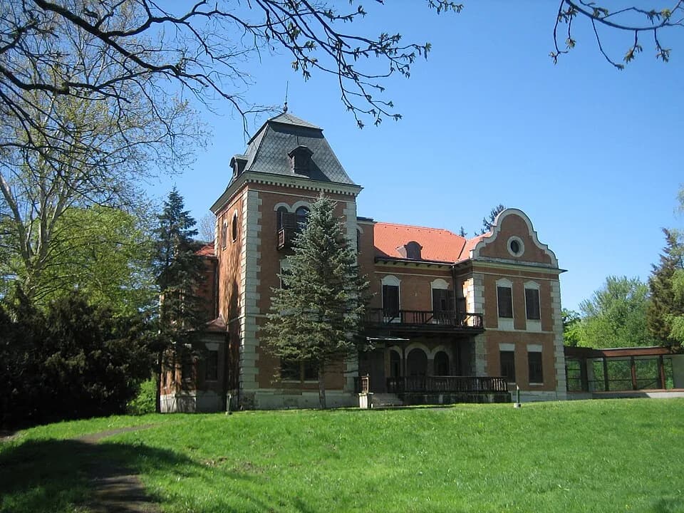 Lug, Bilje
