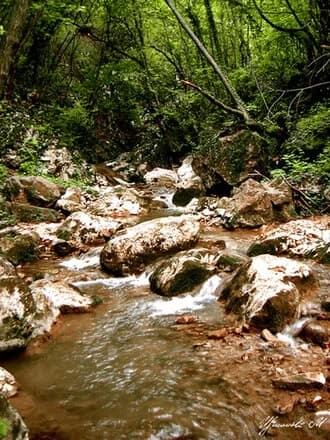 Donja Krćina