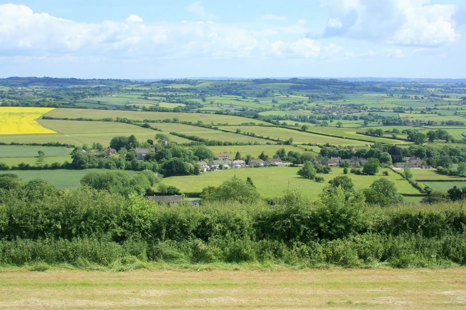 Norton Malreward