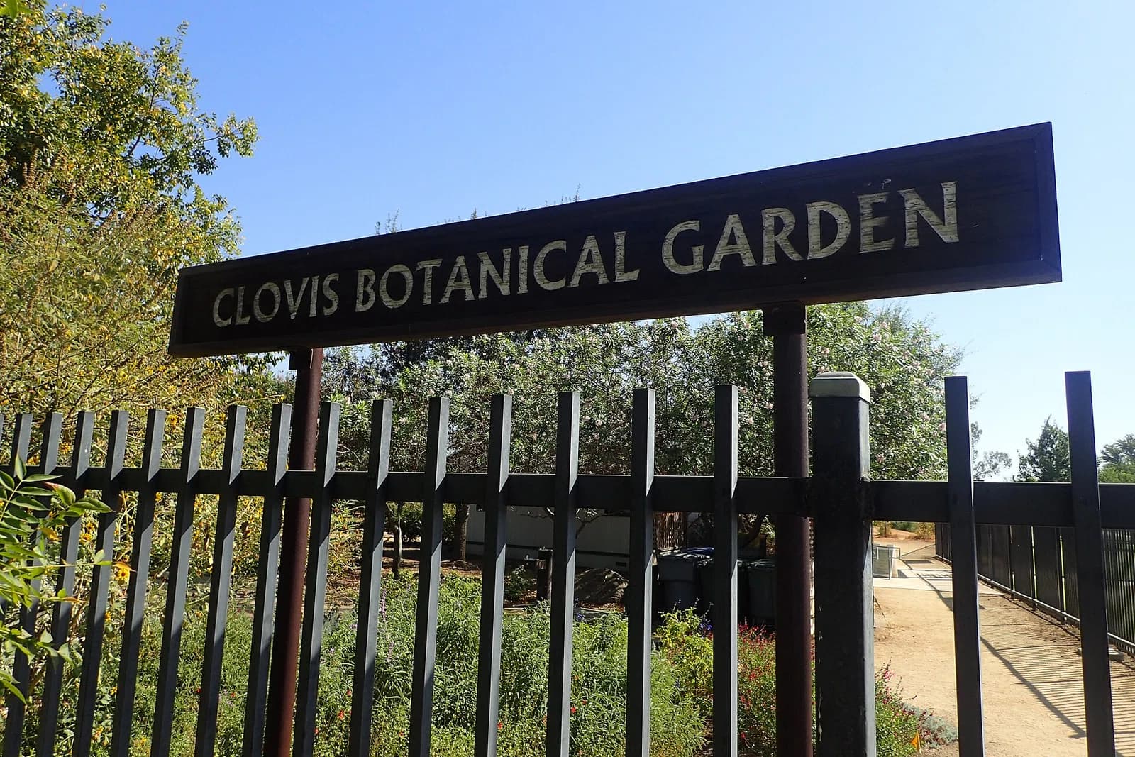 Clovis