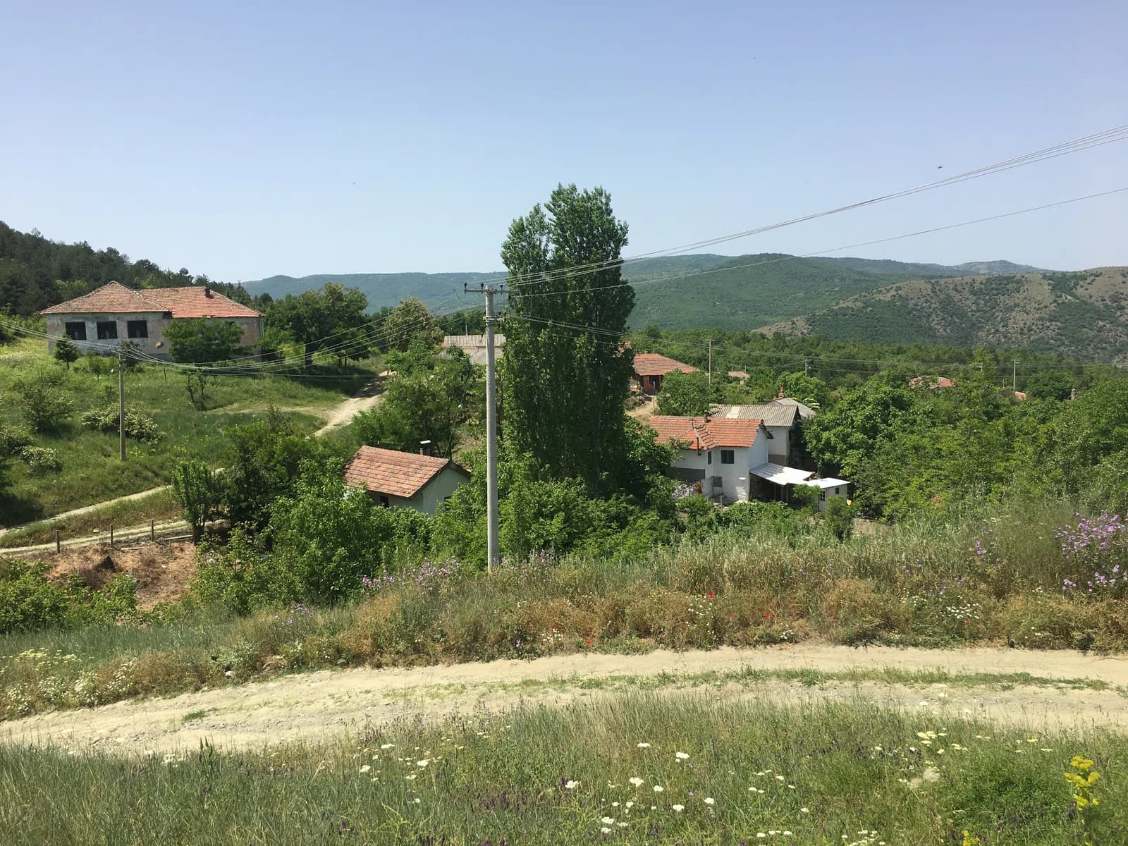 Dračevica