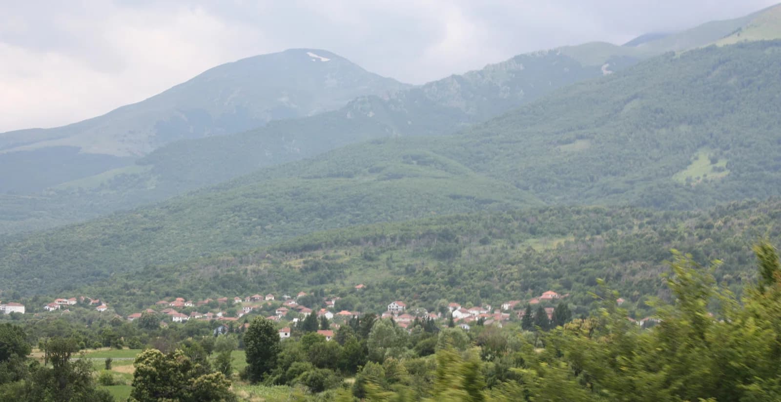 Vratnica