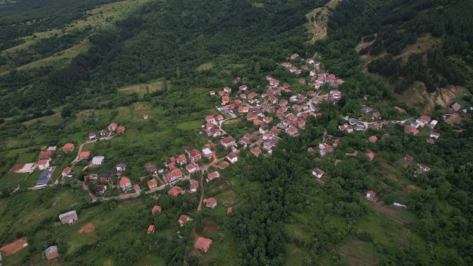 Lavci
