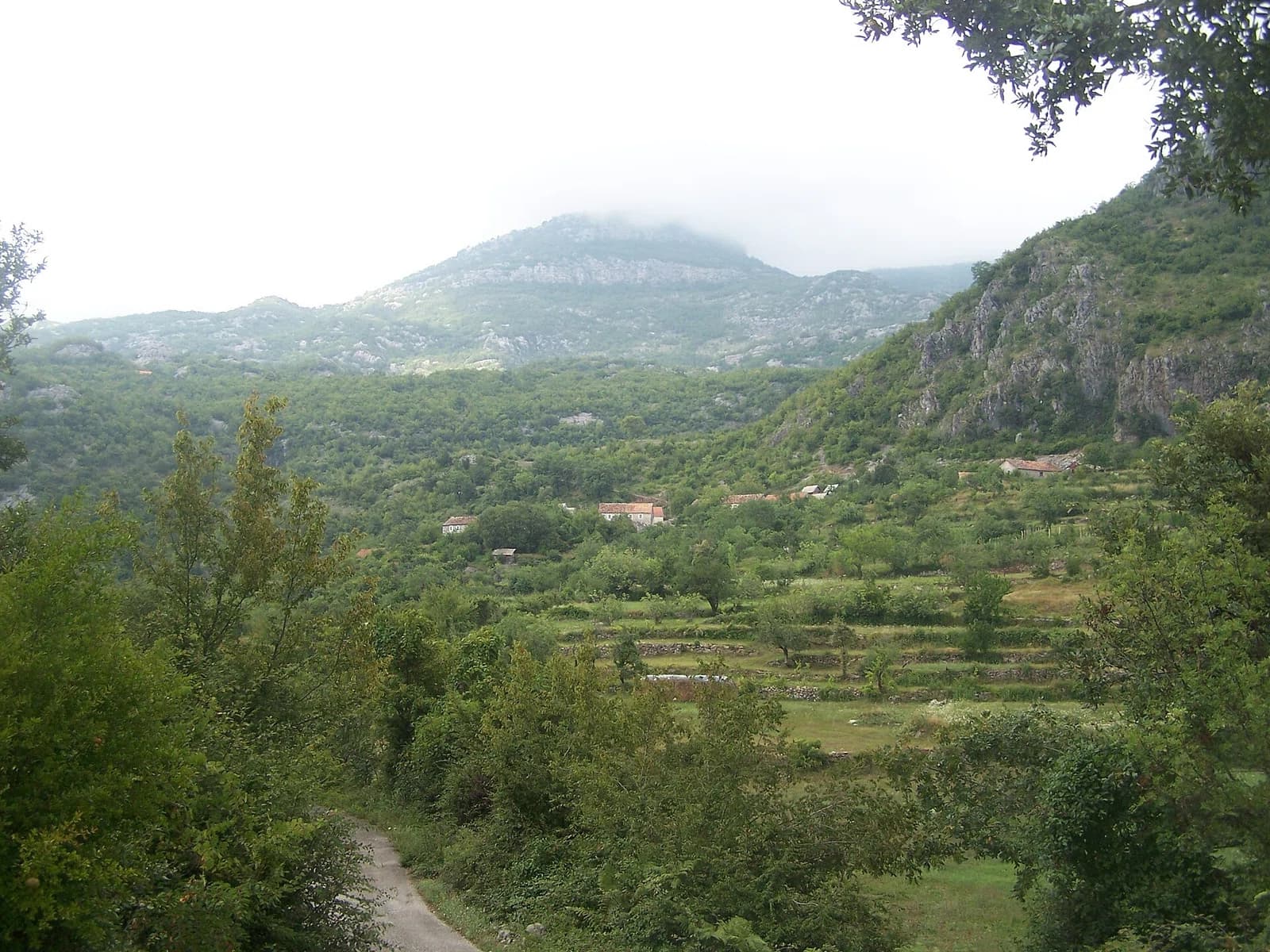Gornji Rsojevići