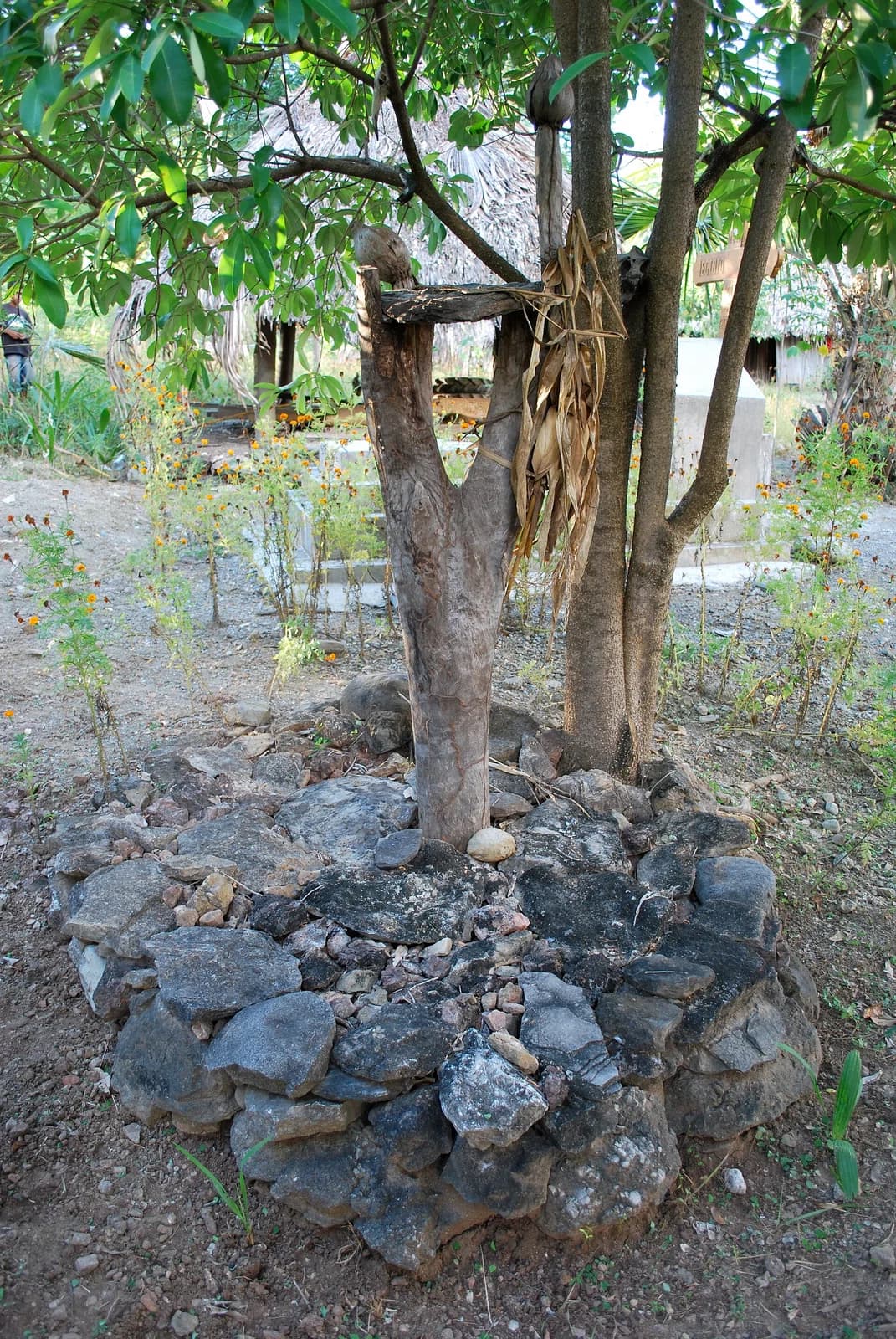 Abani (Passabe)
