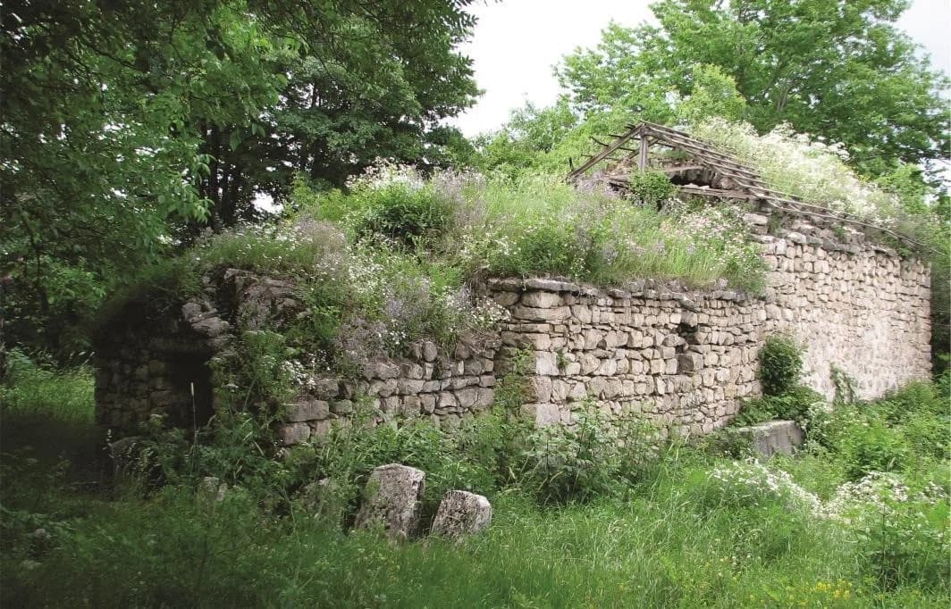 Çağadüz