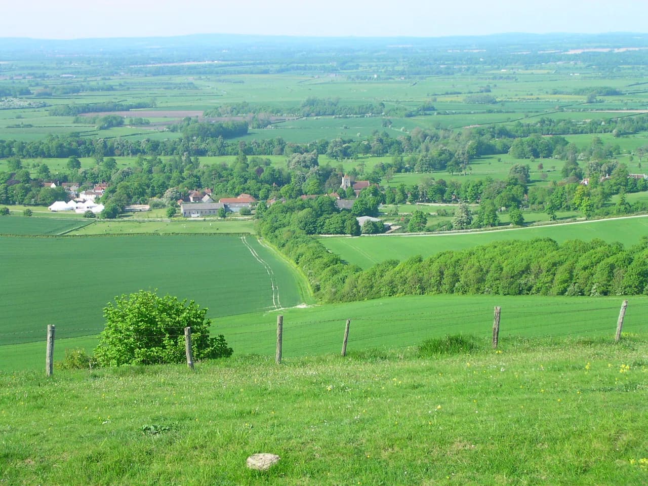 Firle