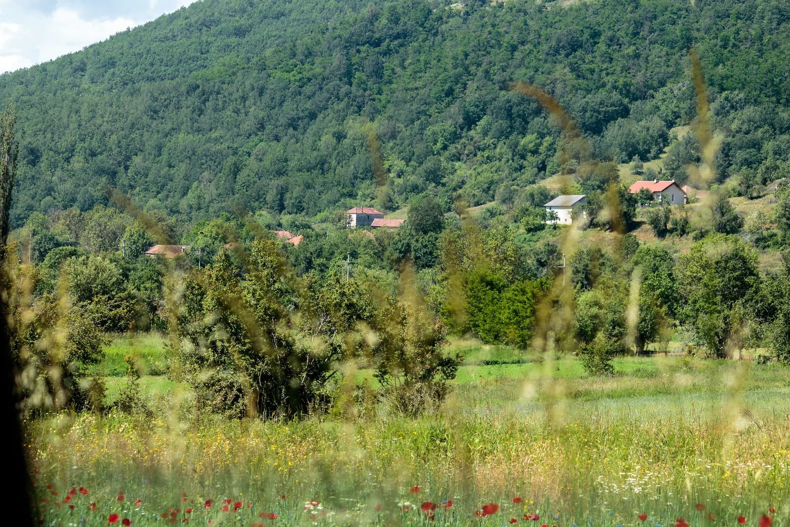 Rakitnica