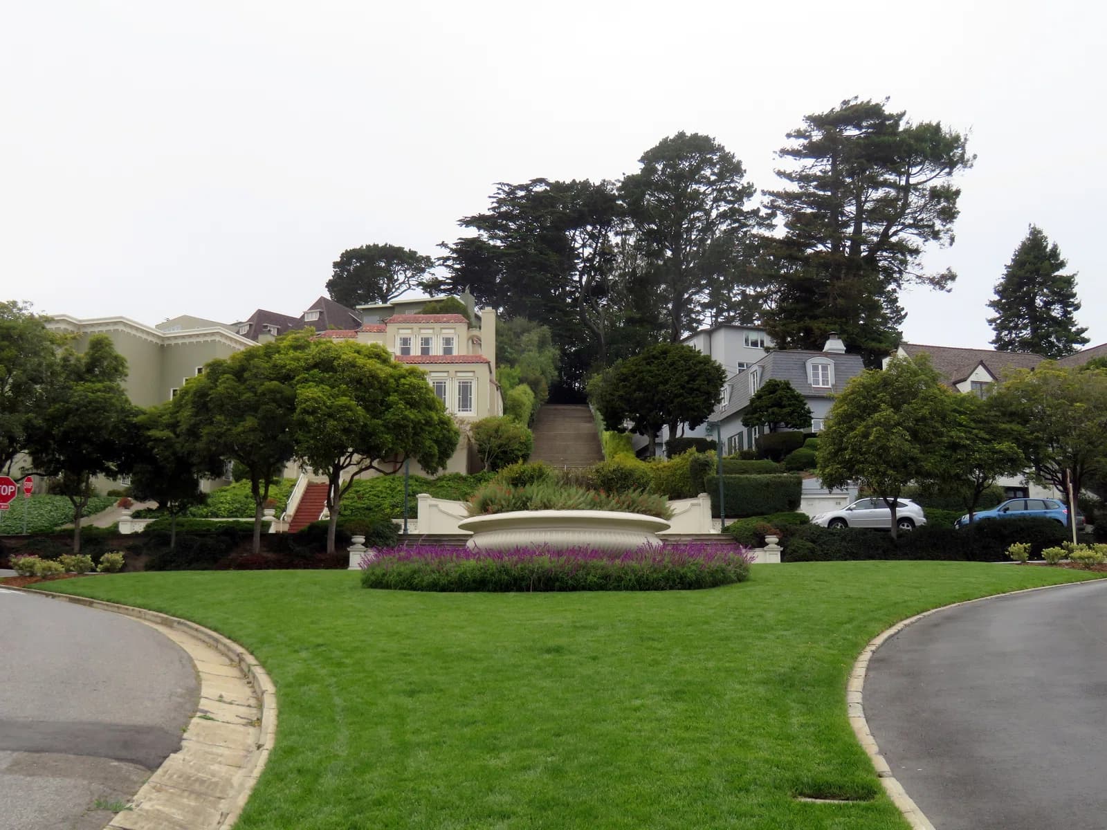 Forest Hill