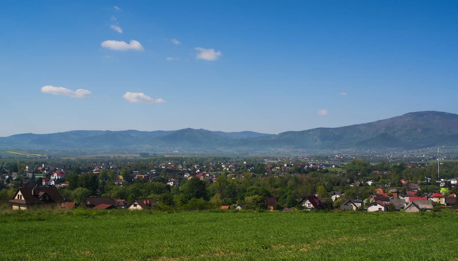 Łodygowice