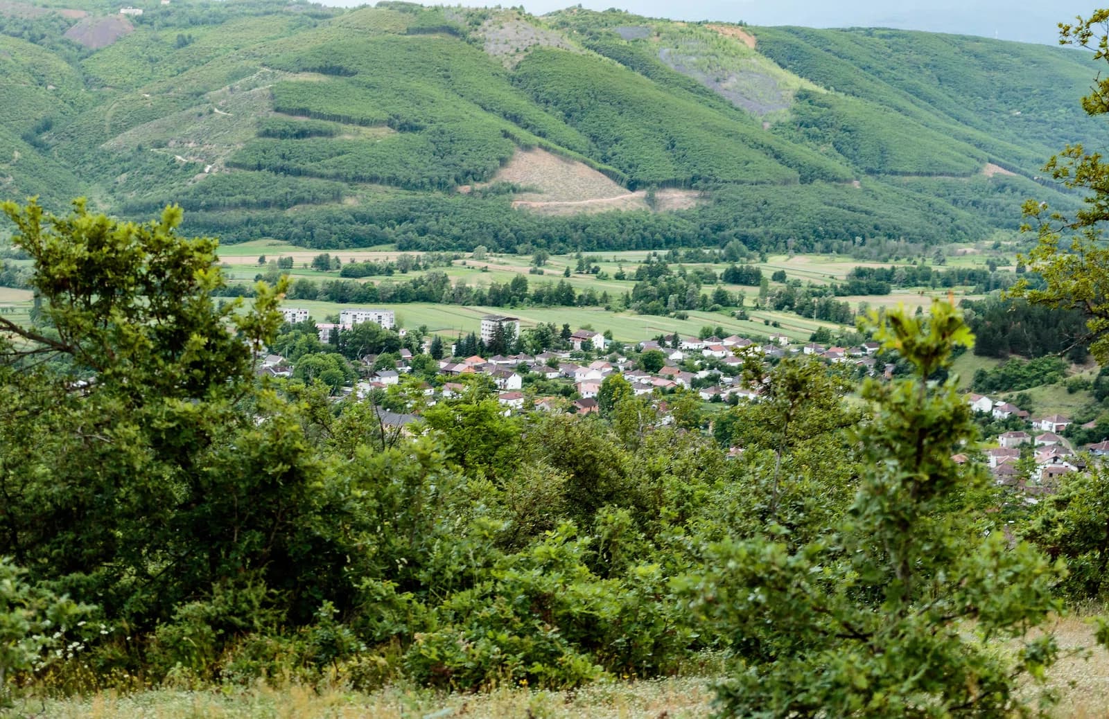 Sopotnica