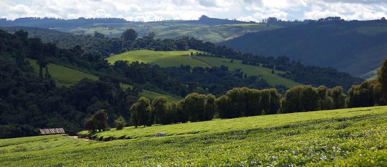 Iringa Region