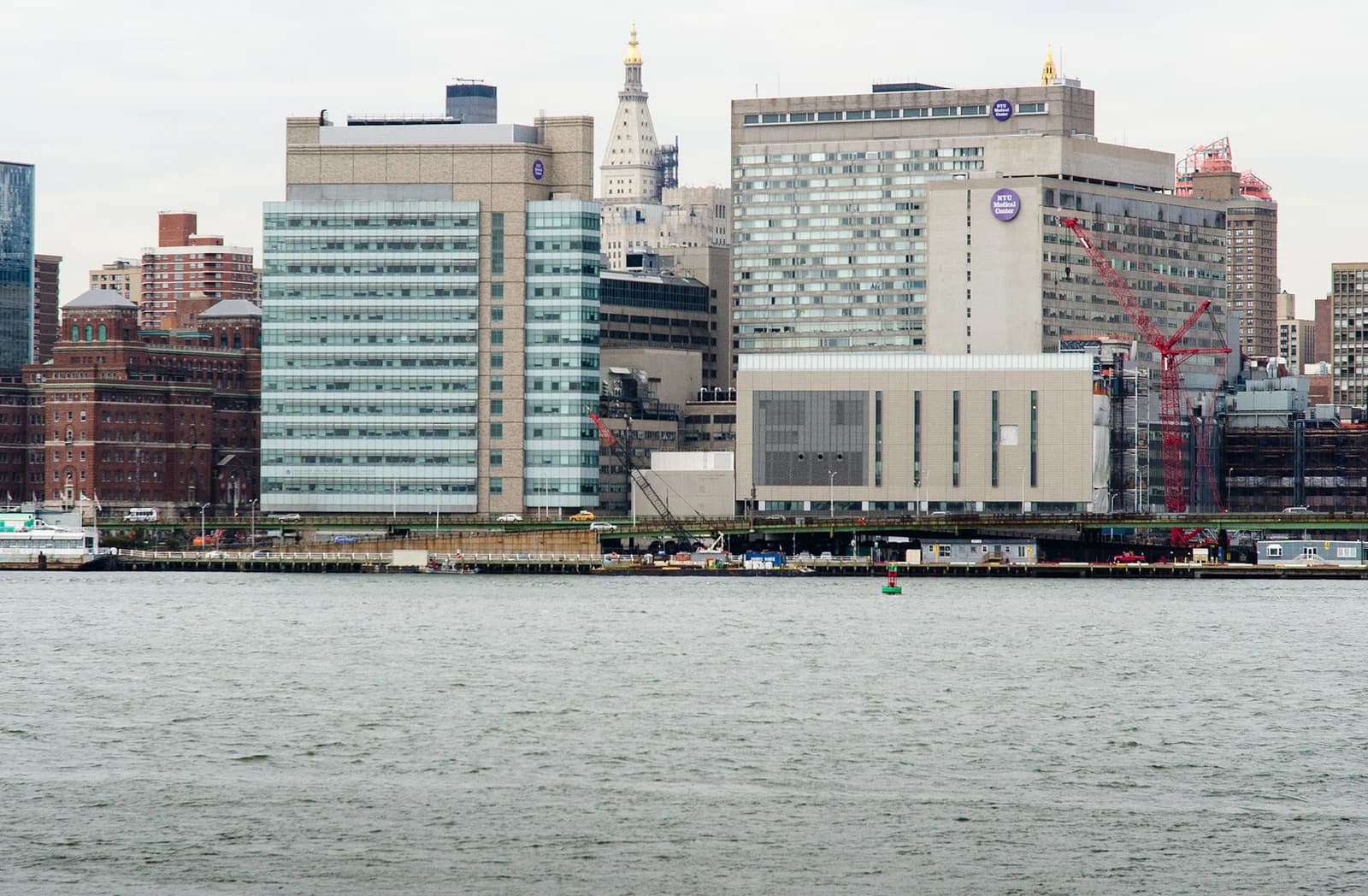 Grossman School of Medicine