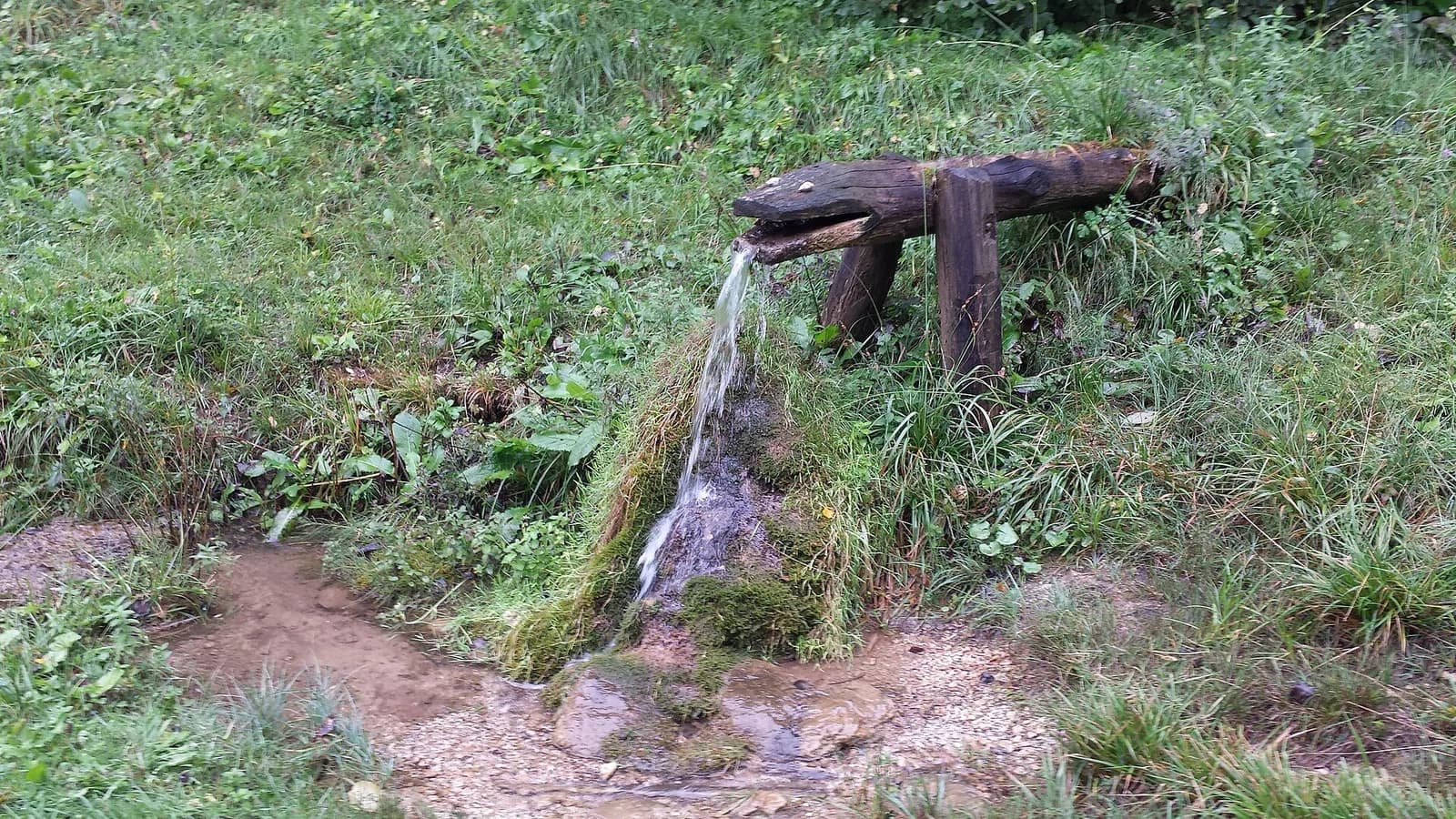 Zabukovje