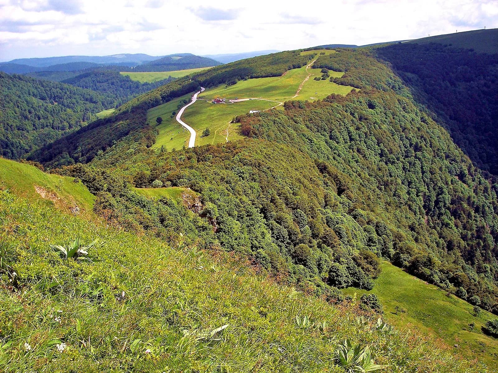 Vosges