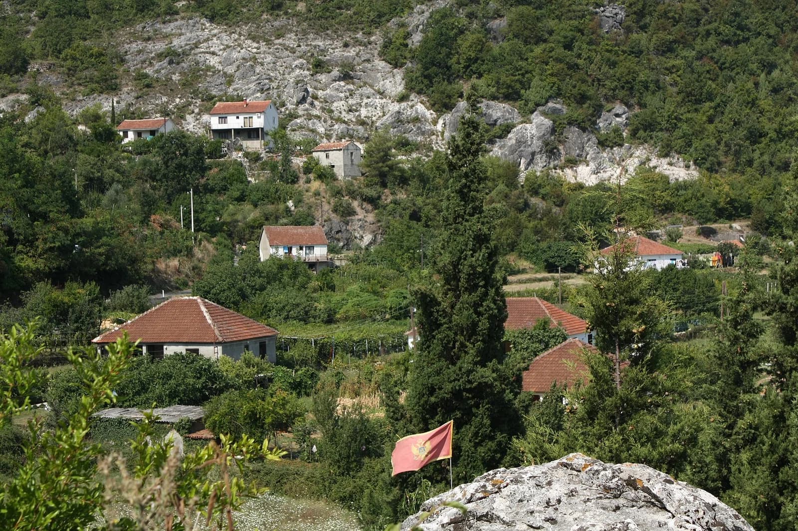 Godinje